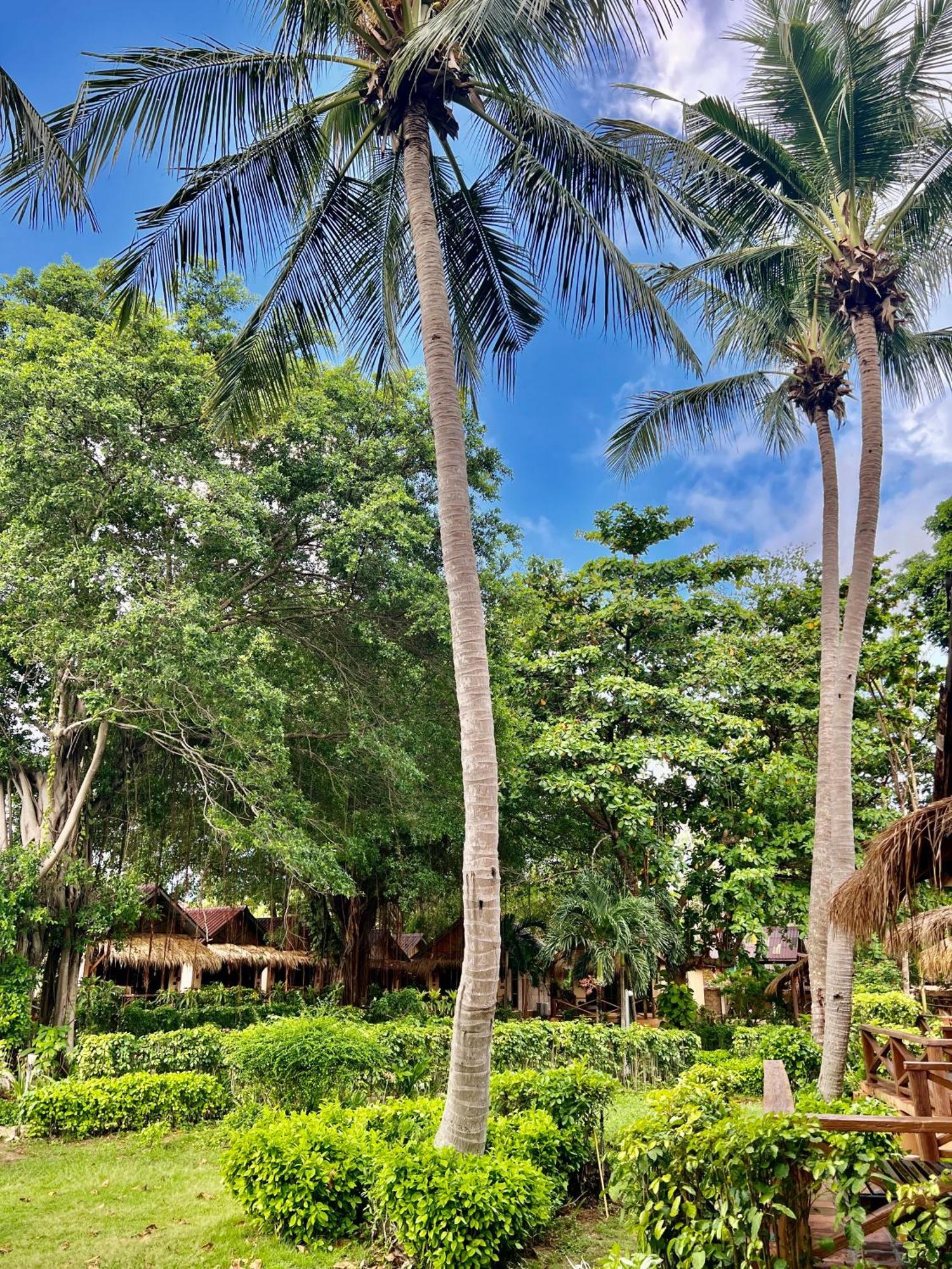 Nautilus Right On The Beach - Adult Only - Sha Extra Plus Ko Lanta Exteriör bild